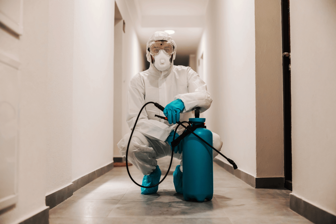 Hawx Pest Control Reviews: Reliable, Friendly, and Professional